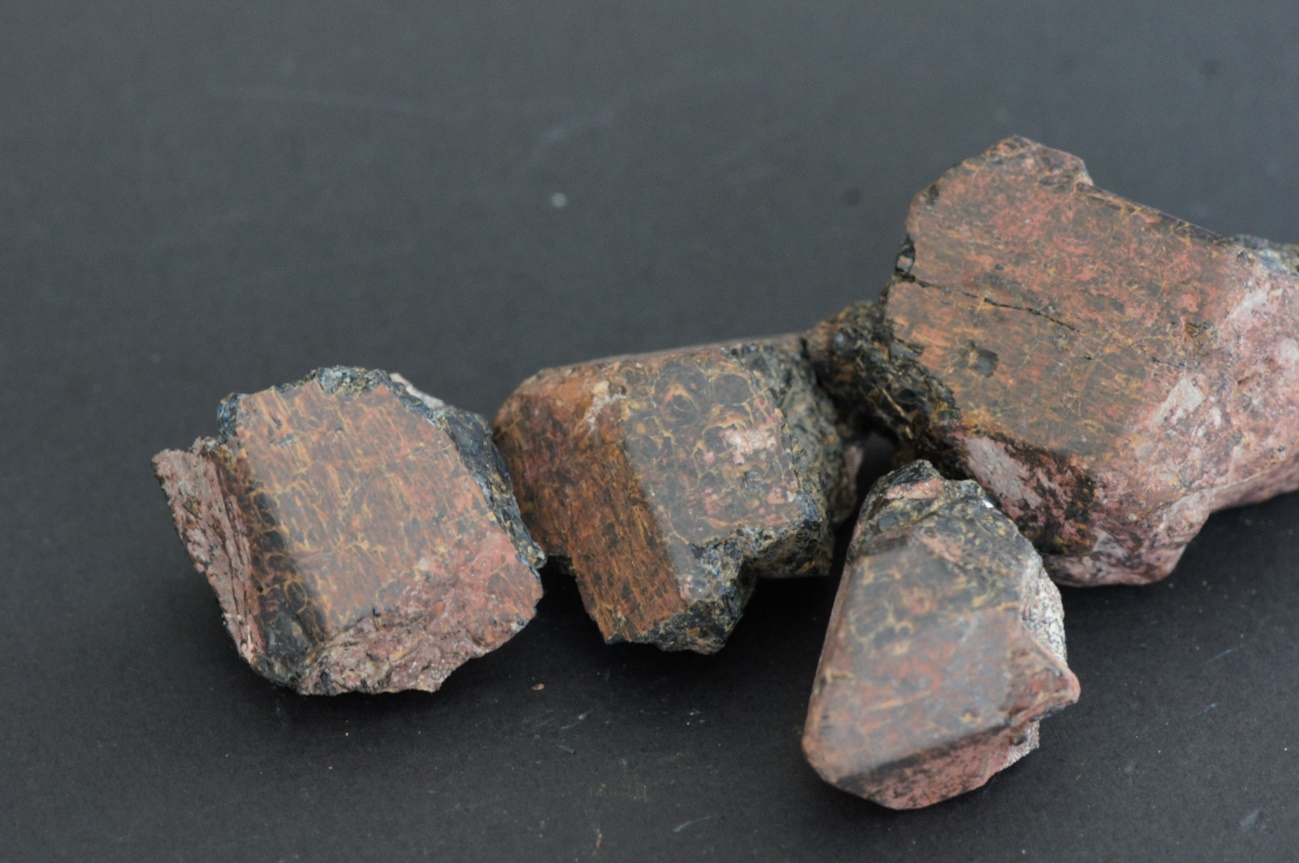 C:\Users\ELENA VINDEL\Desktop\Caja F1\AUGITA.JPG