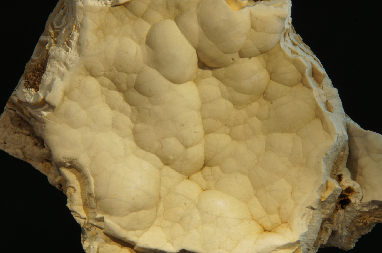 C:\Users\ELENA VINDEL\Desktop\Caja F33\HIDROZINCITA.JPG