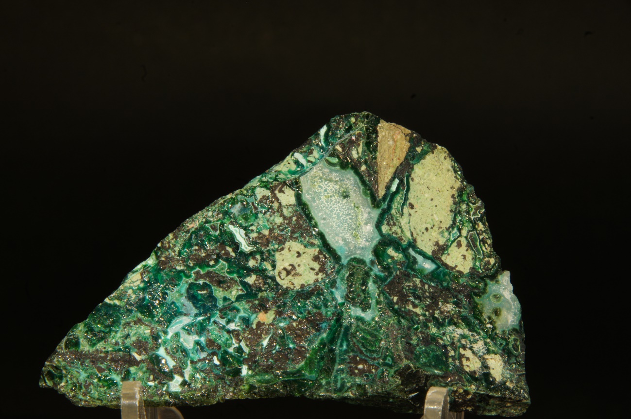 C:\Users\ELENA VINDEL\Desktop\Caja F4\MALAQUITA TENORITA.JPG