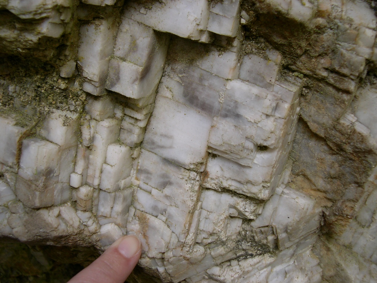 C:\Users\ELENA VINDEL\Documents\FLUORITAS\FOTOS CAMPO\FotosAsturiasJunio2005\DSCN0775.JPG