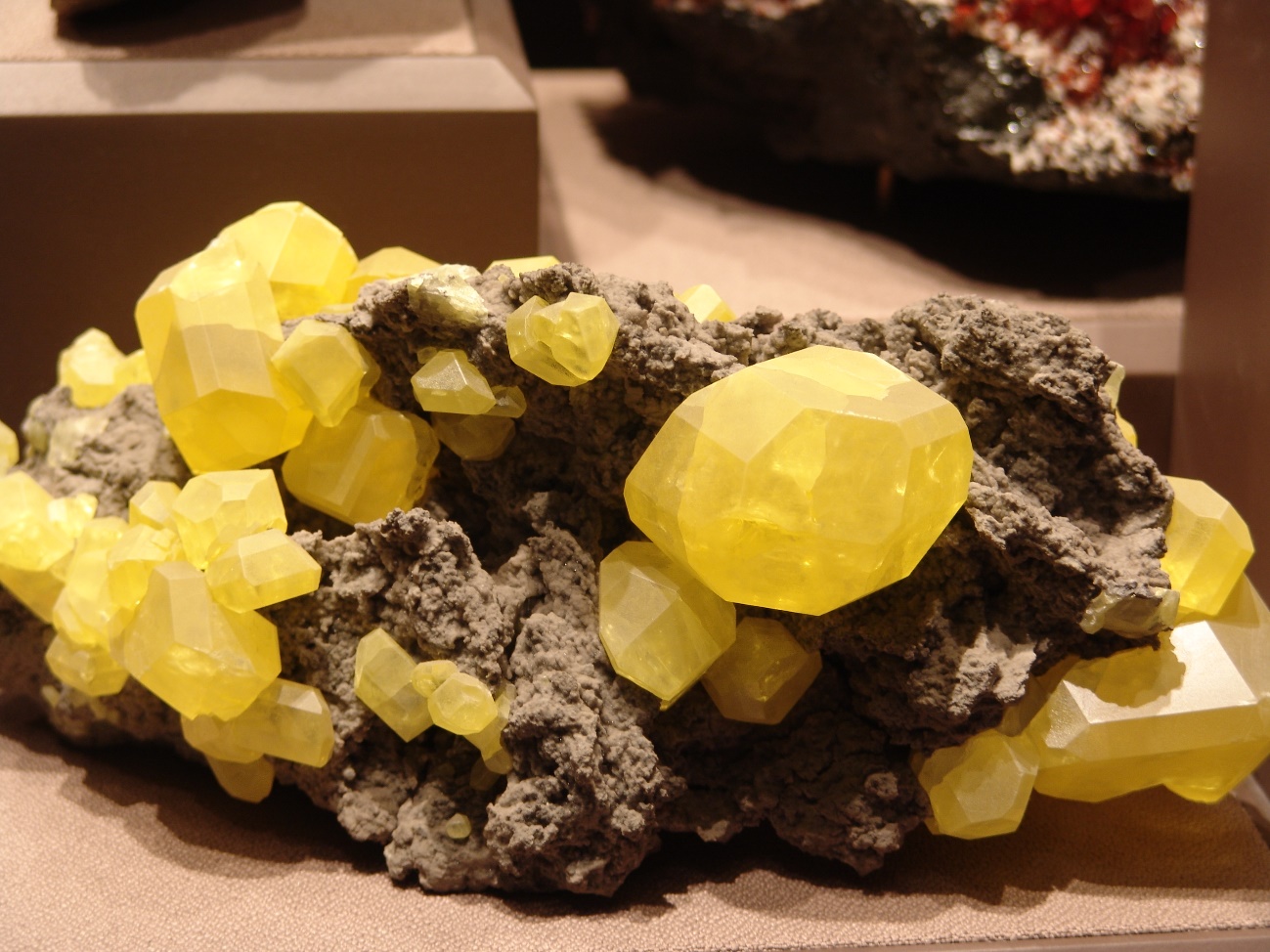 C:\Users\ELENA VINDEL\Documents\FOTOS DE GEOLOGIA\SMITSONIAN 2006\S NATIVO.jpg