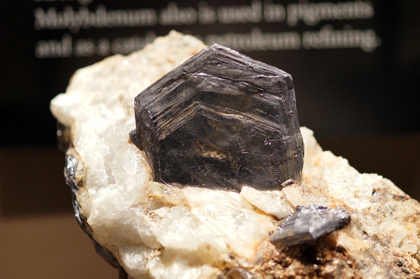 C:\Users\ELENA VINDEL\Documents\FOTOS DE MINERALES Y ROCAS\DSC00733.JPG