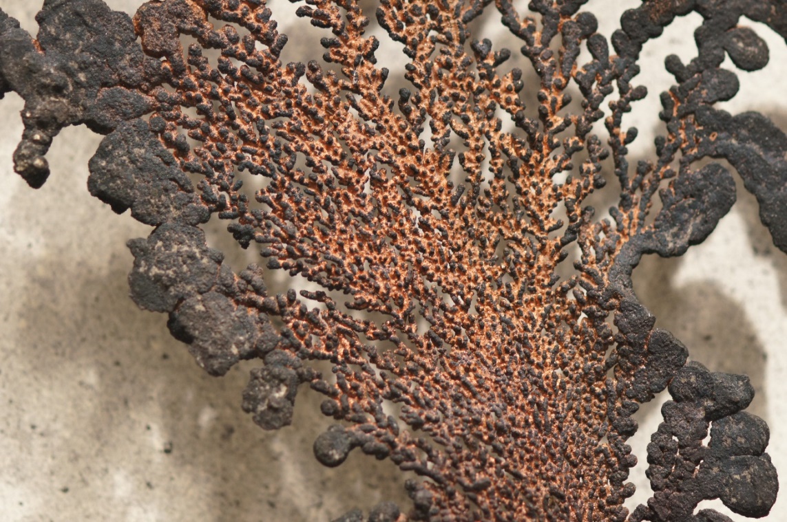 C:\Users\ELENA VINDEL\Documents\FOTOS DE MINERALES Y ROCAS\DSC00728.JPG