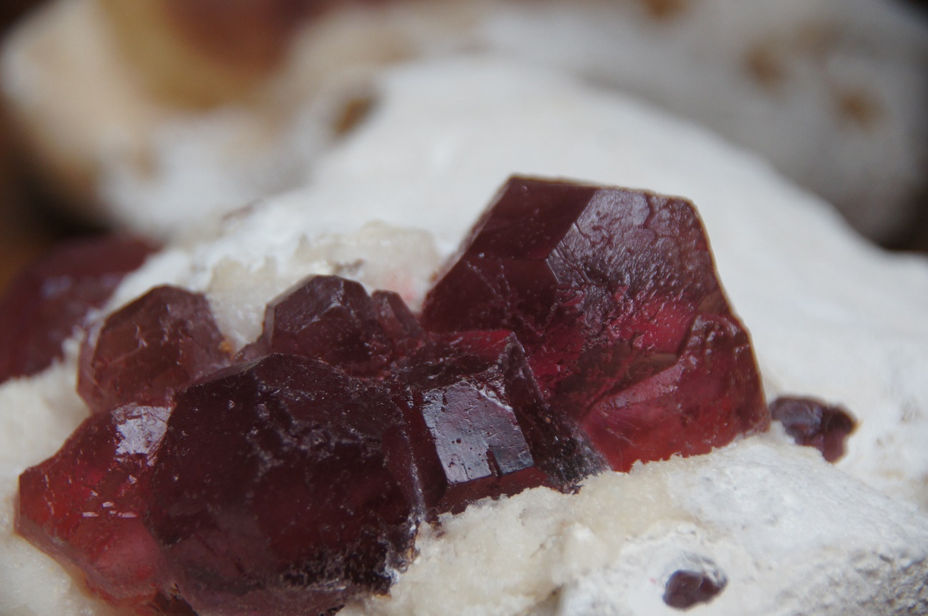 C:\Users\ELENA VINDEL\Pictures\4_FOTOSWEB\Geominero 2\DSC09553.JPG