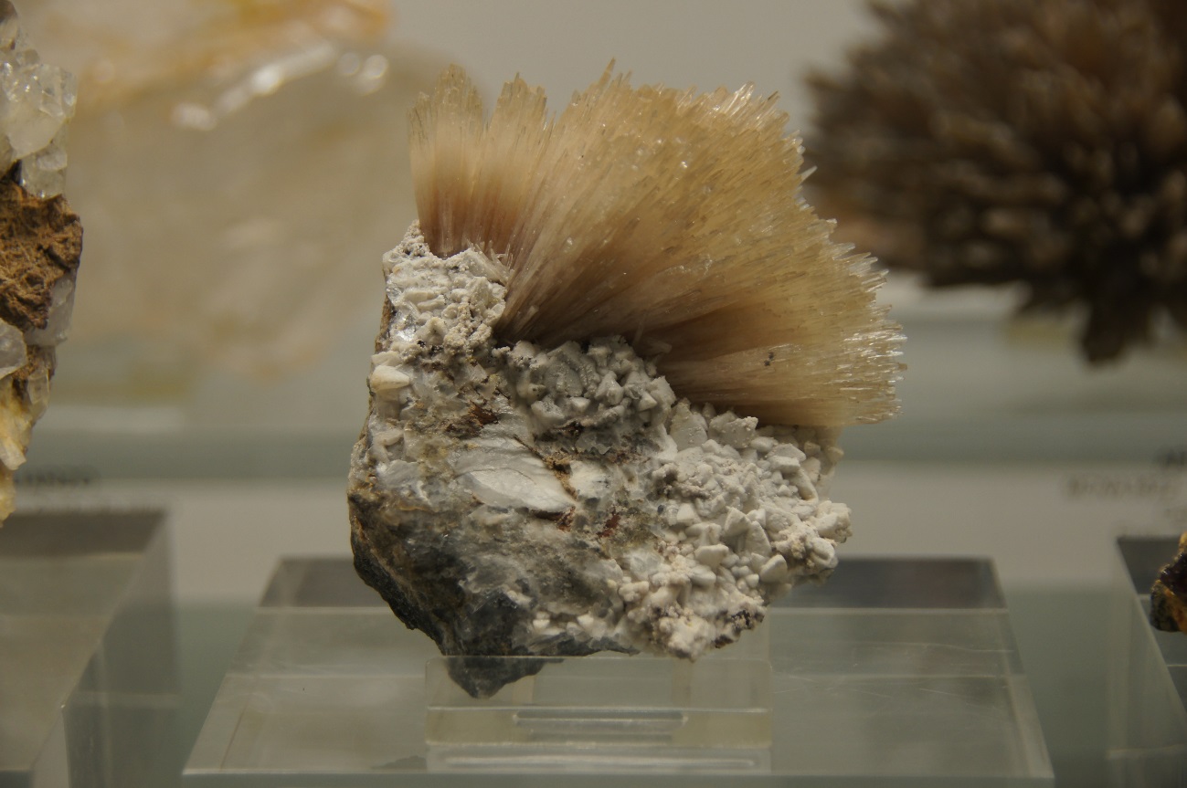 C:\Users\Miguel Angel\Desktop\Museo de Vitoria\DSC09379.JPG