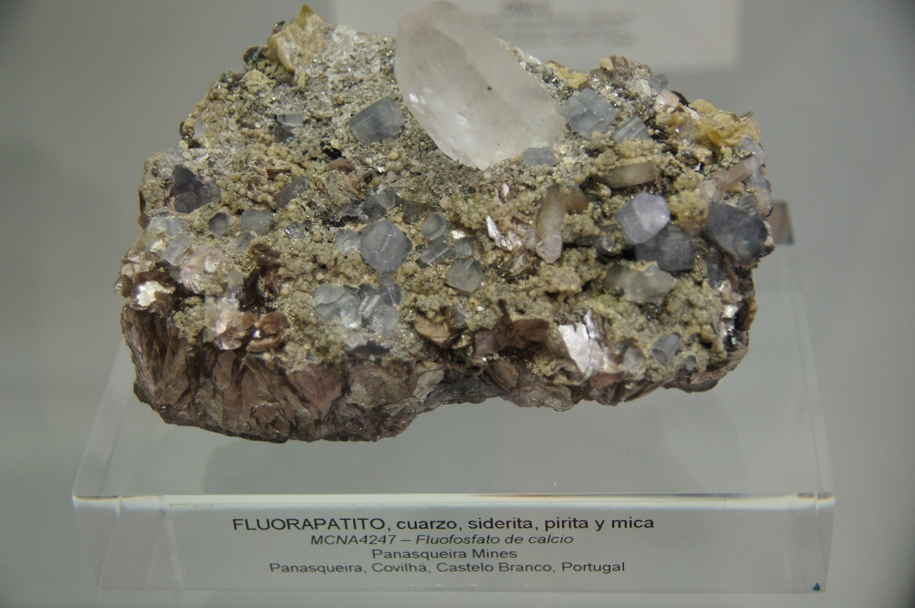 C:\Users\Miguel Angel\Desktop\Museo de Vitoria\DSC09383.JPG