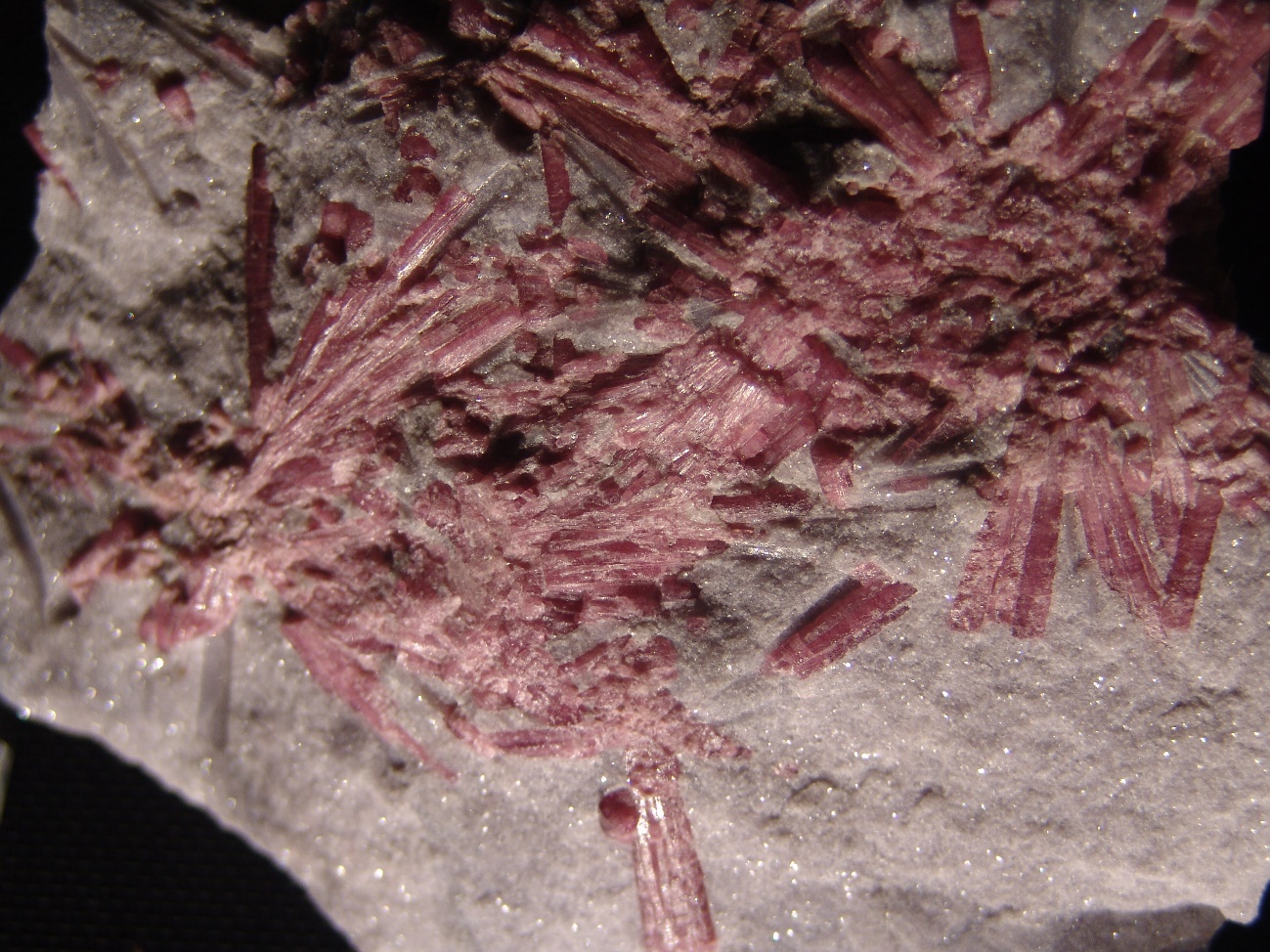 E:\2_FOTOS\FOTOS DE GEOLOGIA\FOTOS MUSEO LONDRES\LEPIDOLITA2.JPG