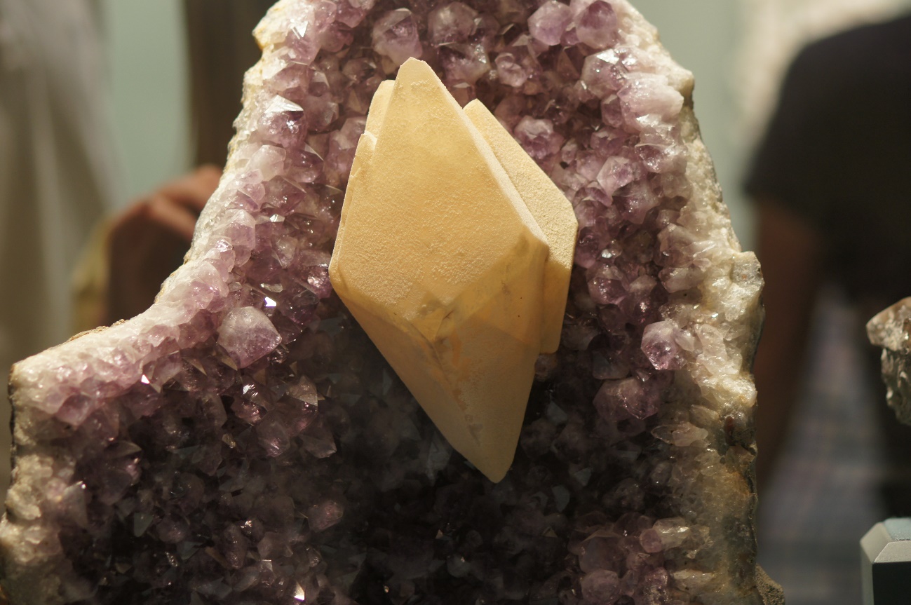 E:\2_FOTOS\USA\NUEVA YORK_WASHINGTON\DSC00697.JPG