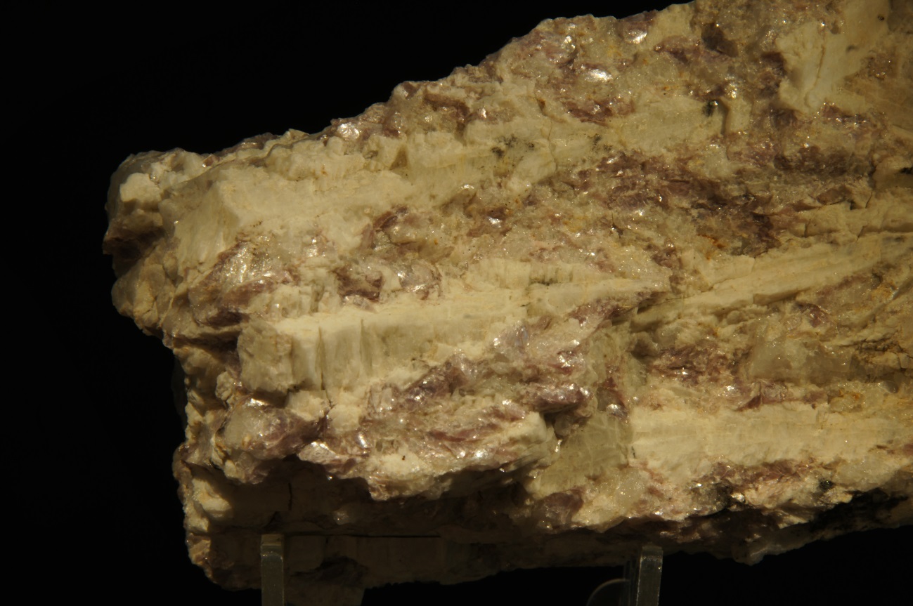 E:\Caja F33\ESPODUMENA.JPG