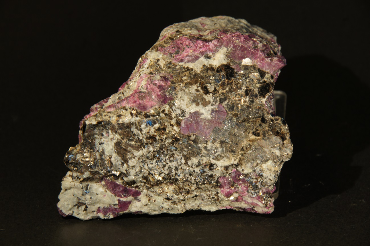 F:\Caja F2\ERITRINA.JPG