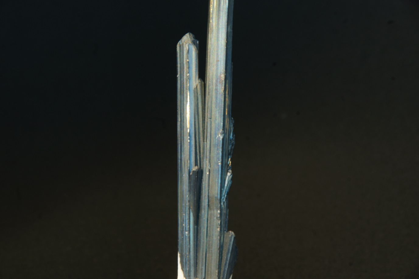F:\Caja F2\ESTIBINA5.JPG