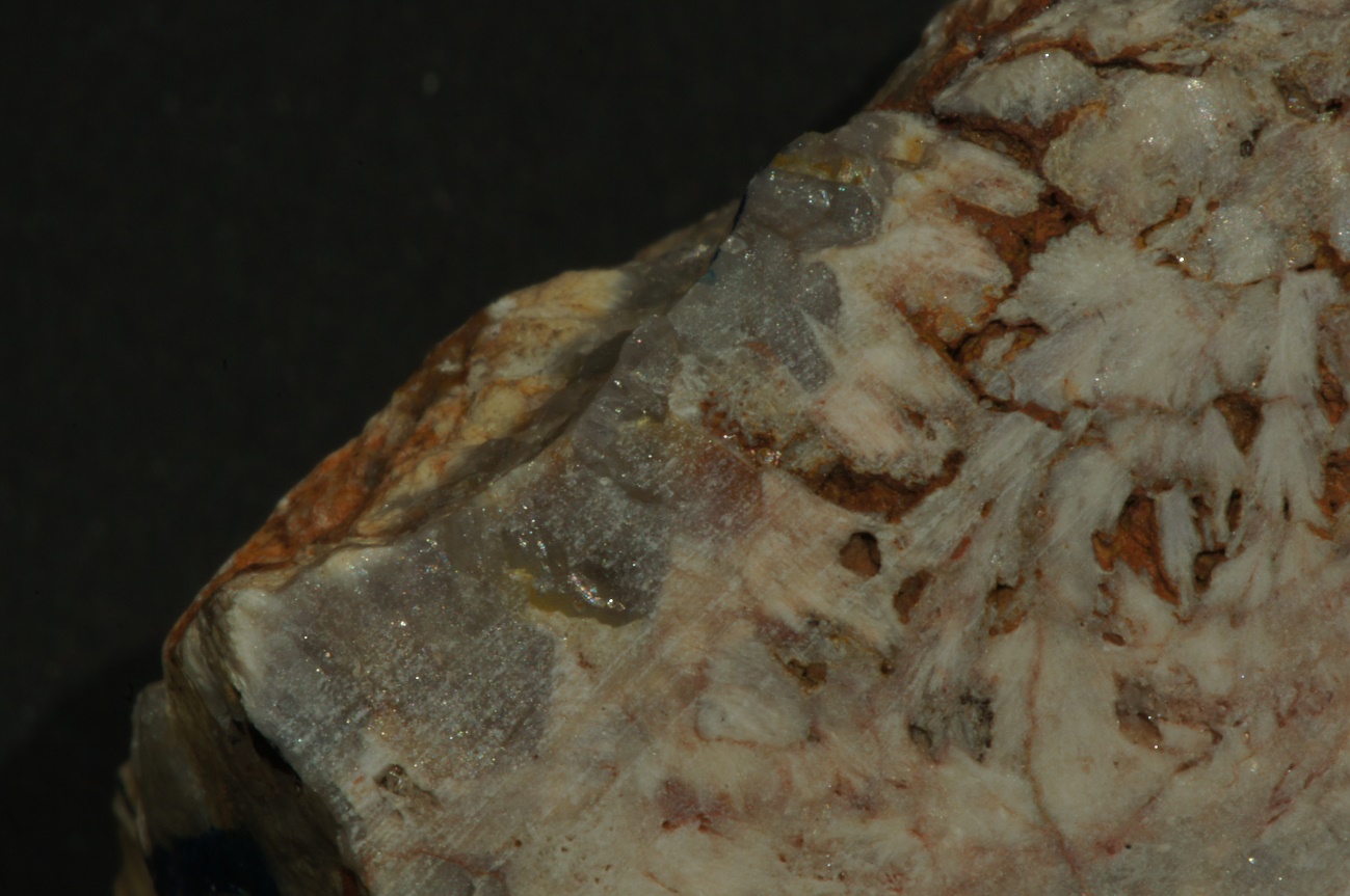 G:\1_DOCUMENTOS\APATITOS\3_FOTOS\FOTOS VISU\DSC03022.JPG