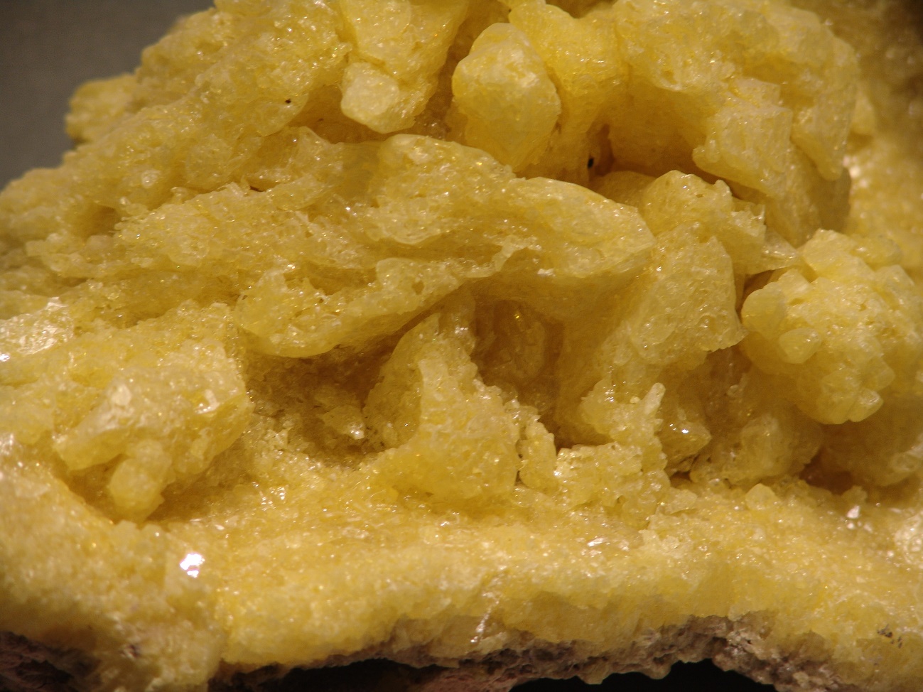 G:\1_DOCUMENTOS\Mis imágenes\S NATIVO 3.jpg