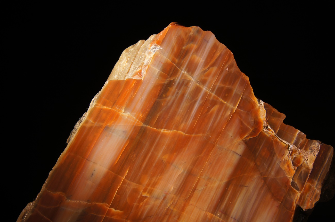 G:\2_FOTOS\MINERALES CONCURSO ELEKTRA\XILOPALO.JPG