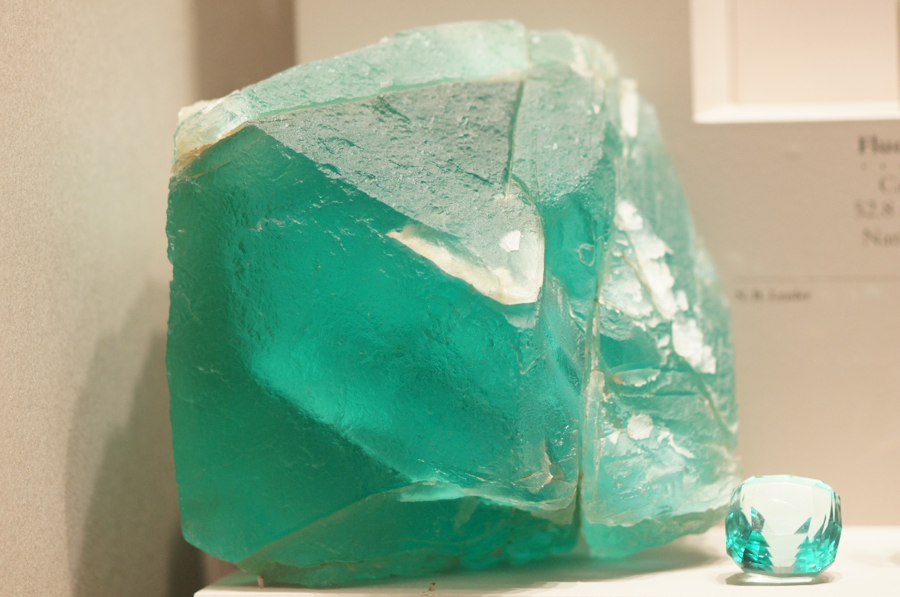 G:\2_FOTOS\USA\NUEVA YORK_WASHINGTON\DSC00686.JPG