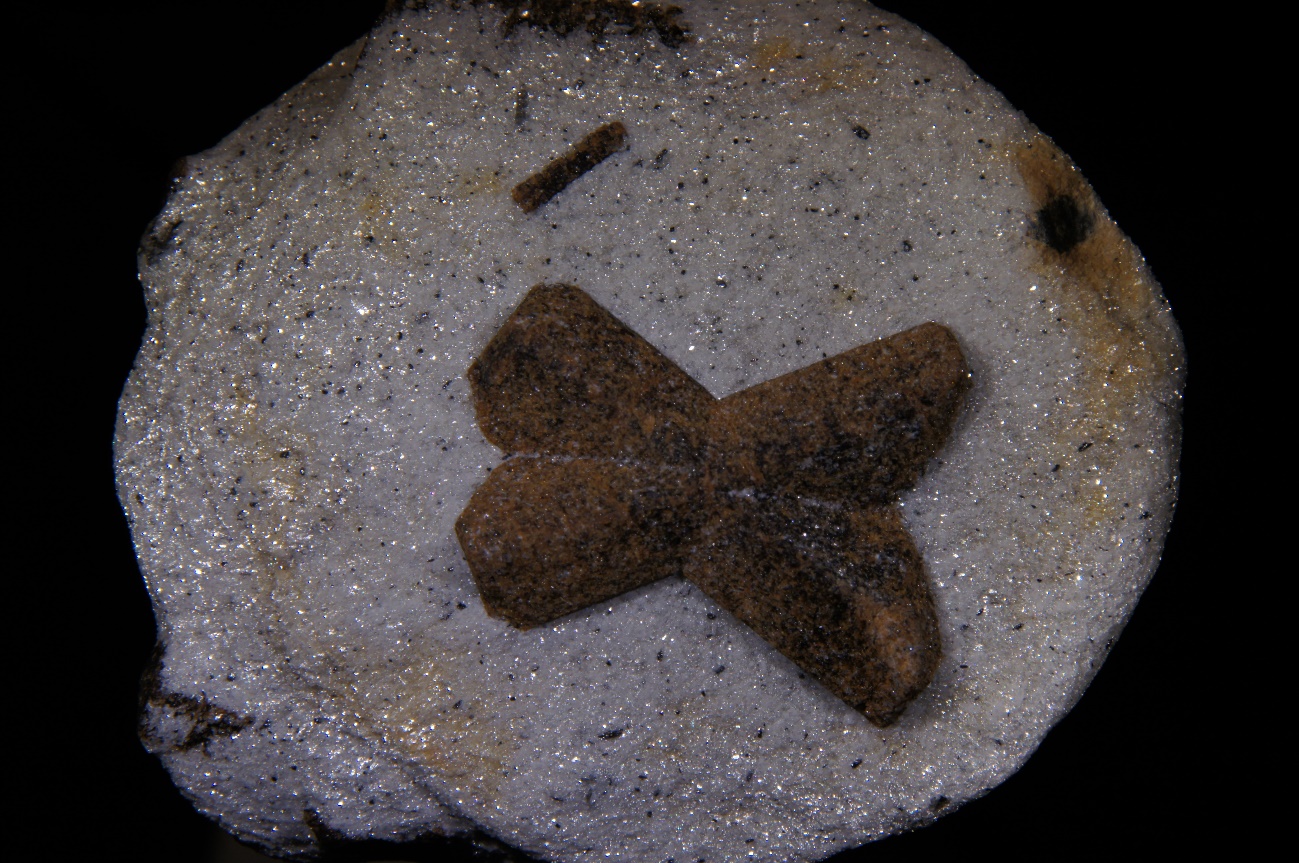 G:\2_FOTOS\MINERALES CONCURSO ELEKTRA\ESTAUROLITA.JPG